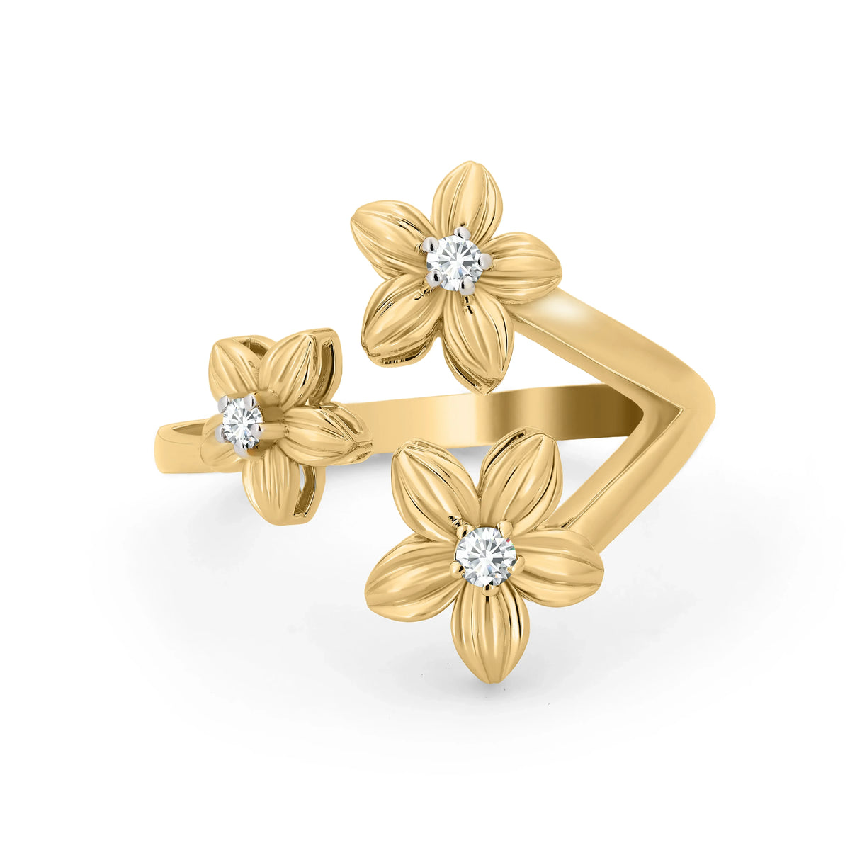 Full Bloom Above the Finger ring - Prideaux